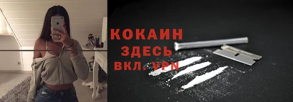 PSILOCYBIN Переславль-Залесский