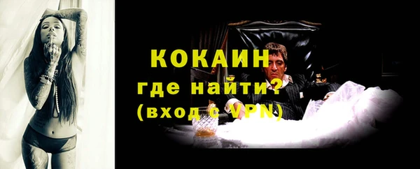 стаф Пестово