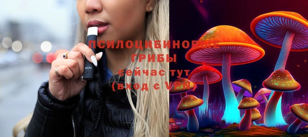 стаф Пестово