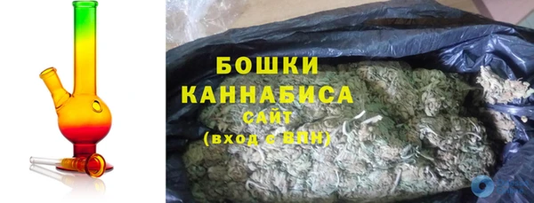 PSILOCYBIN Переславль-Залесский